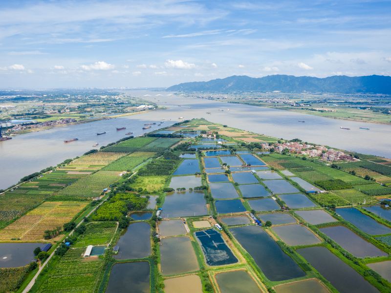 硯洲島