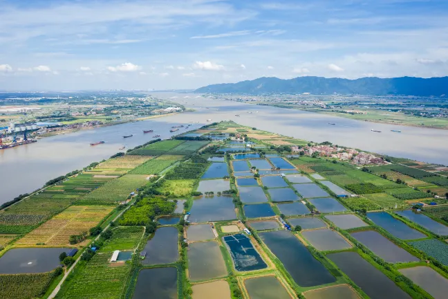 稻香翠竹園