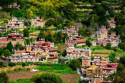 Jiaju Tibetan Village