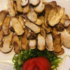 珍味養生館張用戶圖片