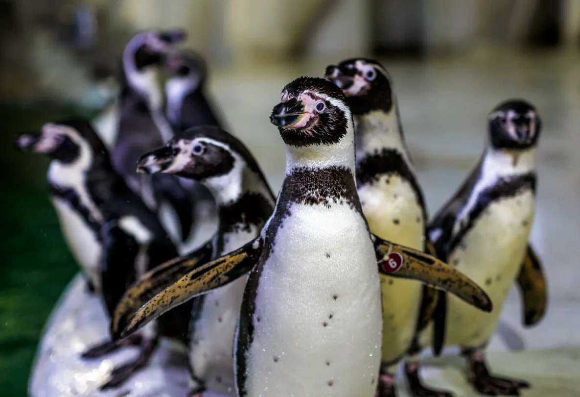 3_Wuhan East Lake Ocean World