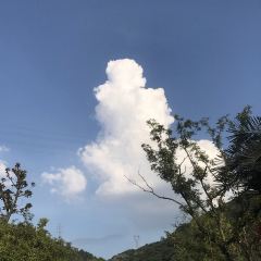 YAN LAI XUAN User Photo