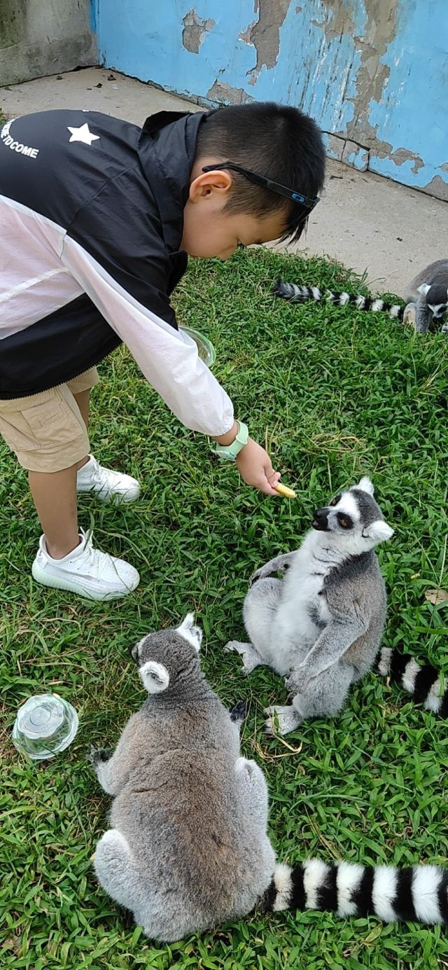 친황다오 야생동물원