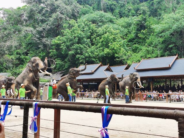 野象谷