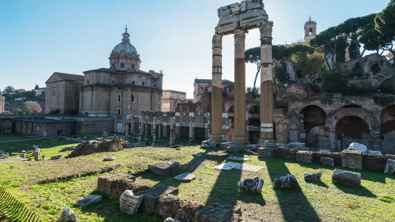 Palatine Hill + Temple of Venus and Rome + Arch of Constantine + Roman Forum 1-day tour