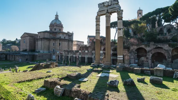 Palatine Hill + Temple of Venus and Rome + Arch of Constantine + Roman Forum 1-day tour