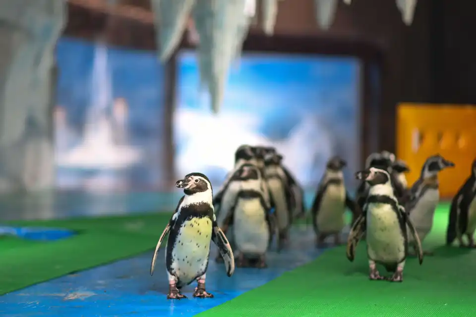 5_Changsha Ecological Zoo