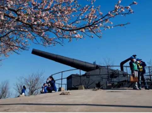 เกาะหลูกง