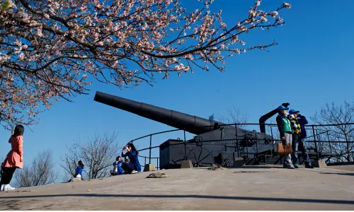 เกาะหลูกง