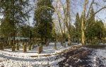 Jewish Cemetery Rat-Beil-Strasse