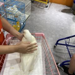 Dakku沖鴨俱樂部張用戶圖片