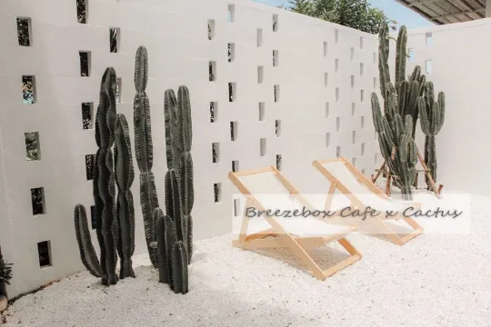 Pattaya Café Hopping อัพเดทคาเฟ่เมืองพัทยา อินเทรนด์ น่านั่ง วิวดี ไม่มีเบื่อ