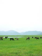 Jidamu Grassland