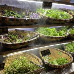 QIANCHENG SUANTANGNIUROU User Photo