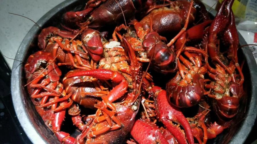 阿毛清真烧烤(书院街总店)