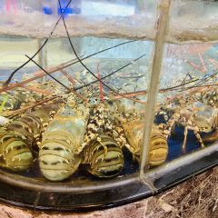 Mayflower Seafood Market User Photo