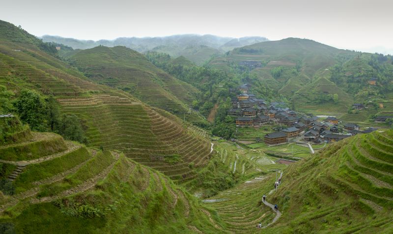 Guangxi Guilin Forest Park