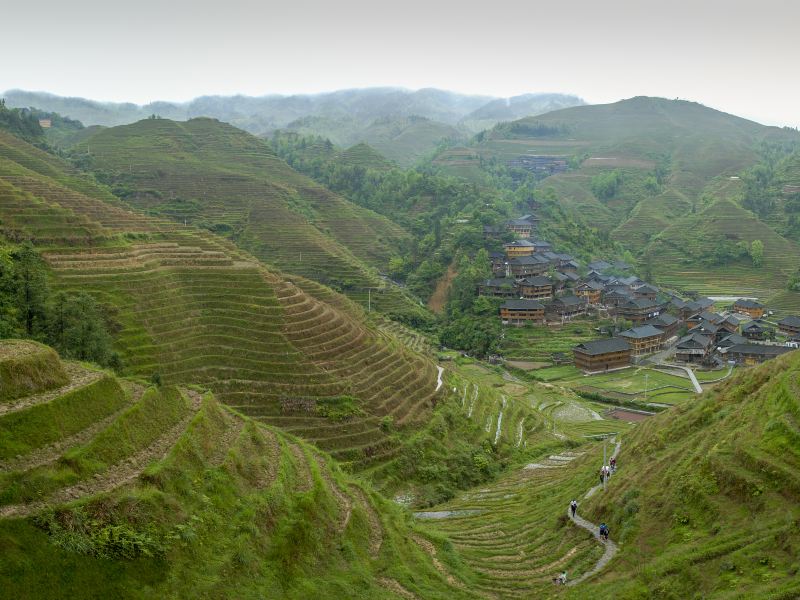 Guangxi Guilin Forest Park