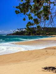 Tangalle Beach