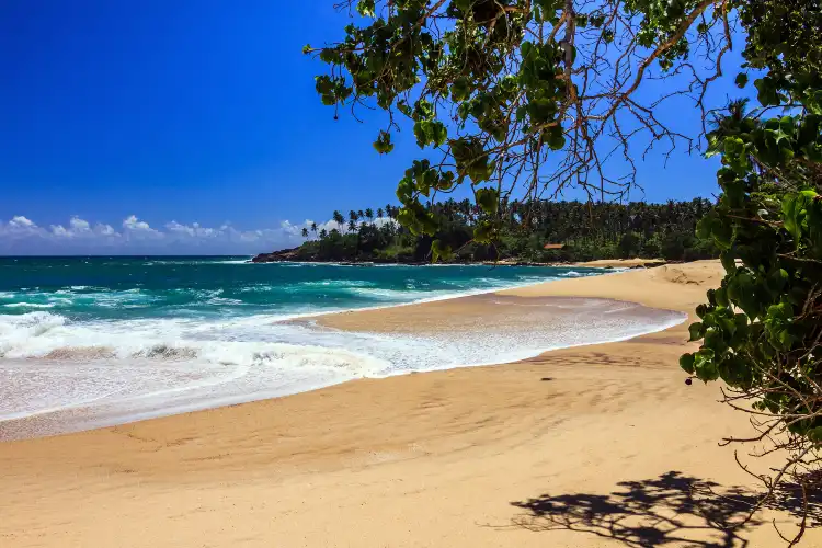 Hotels near Tangalle Beach