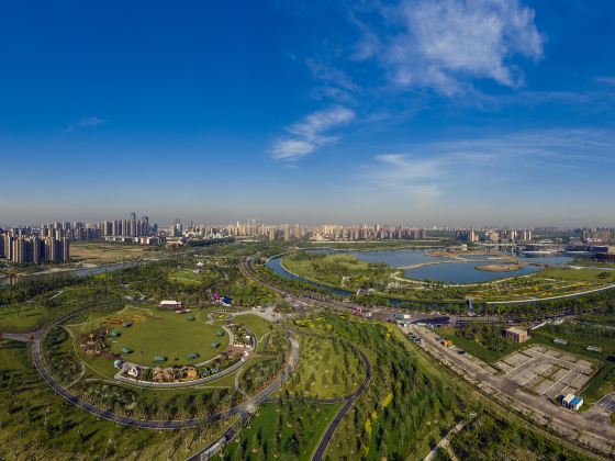 上海之魚泡泡公園