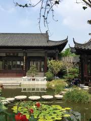 Daoshenggen Park