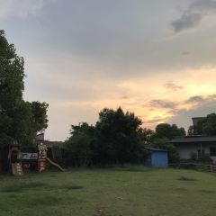 紫云阁农庄 User Photo