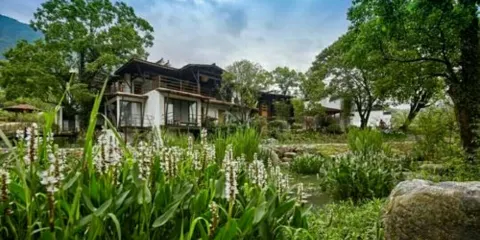 盧村木雕樓農家飯莊