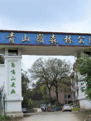Qingshanling Forest Park