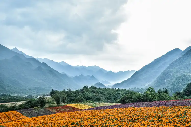 Wuxi County