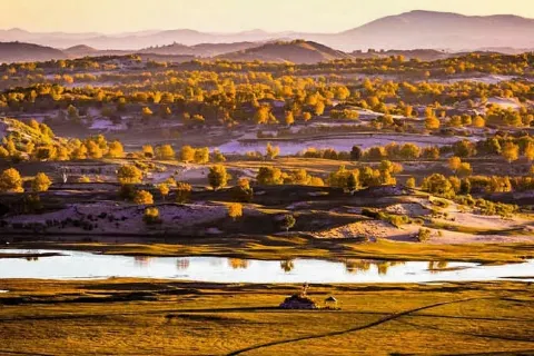 Zhangbei Bashang Grassland