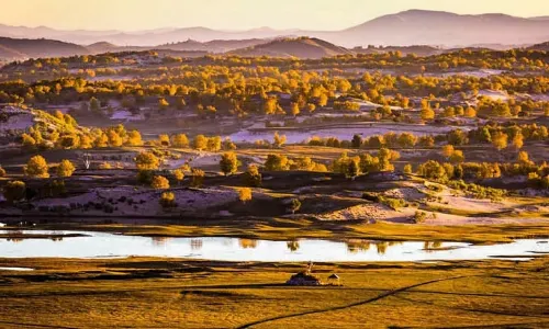 Zhangbei Bashang Grassland