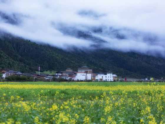 魯朗國際旅遊小鎮