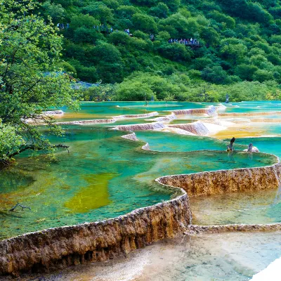 Banyan Tree Jiuzhaigou