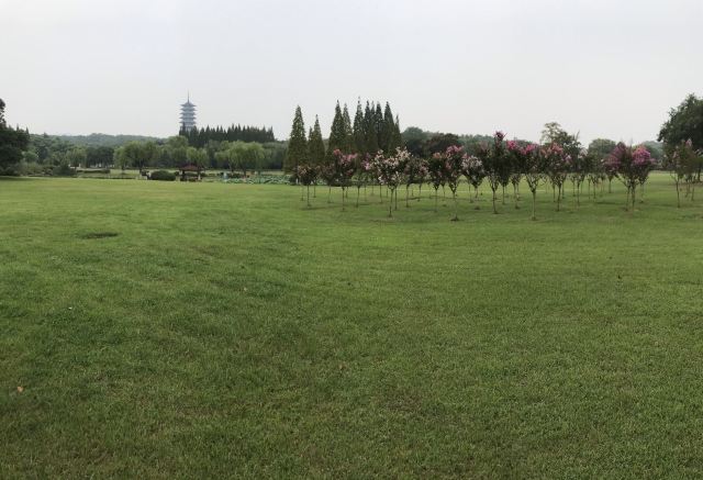Longbeishan Forest Park