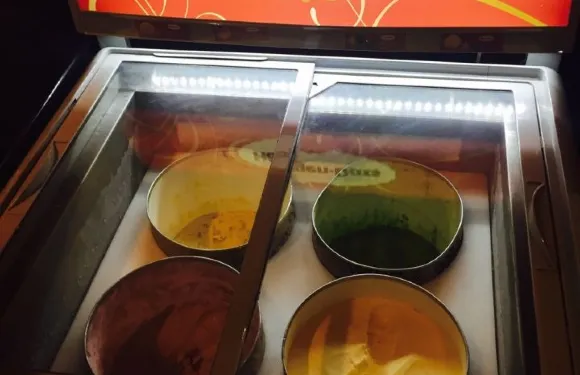 譚英雄 麻辣鴛鴦火鍋