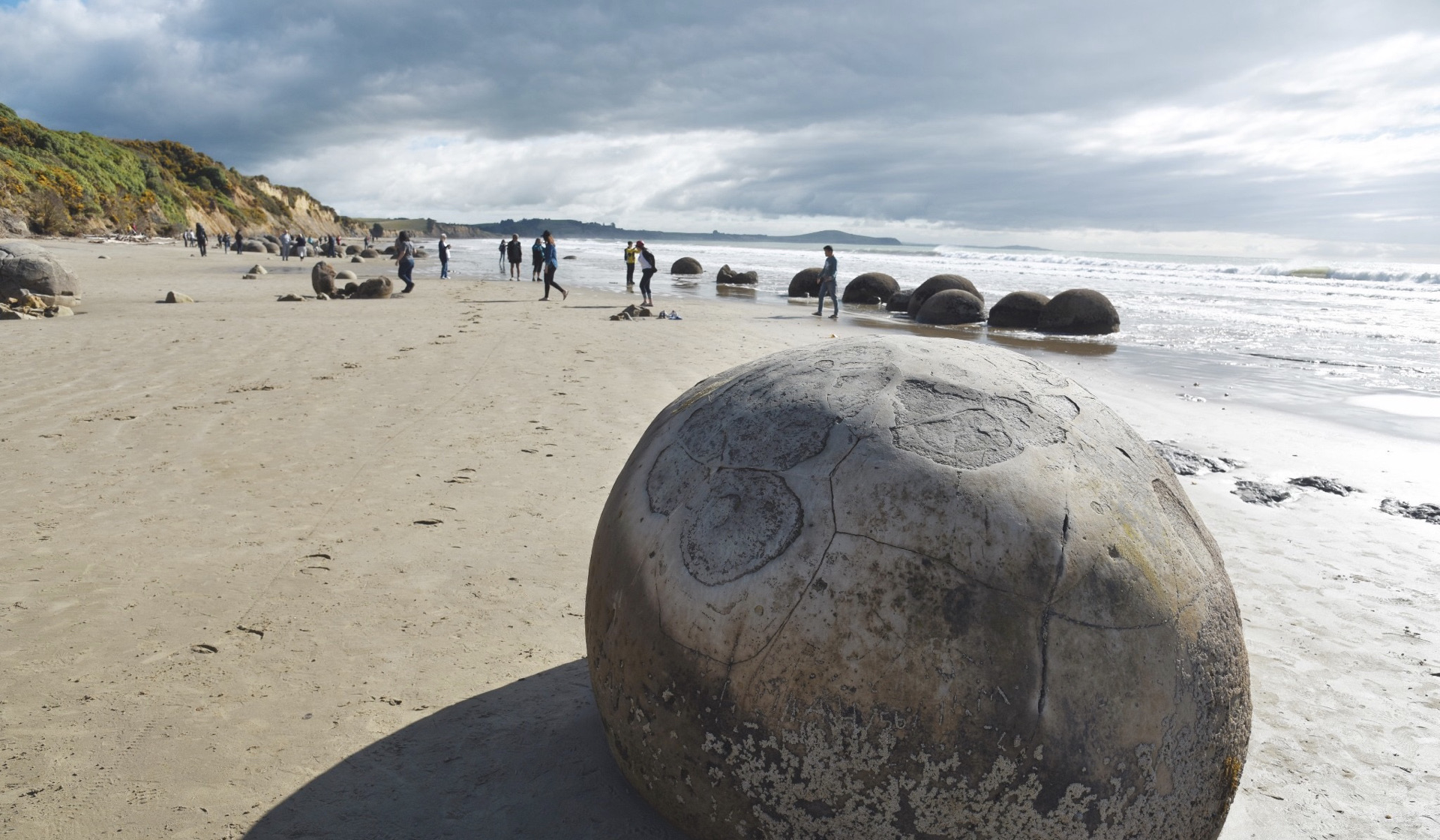 ワイタキ ディストリクト Moeraki Boulders 評判 案内 トリップドットコム ワイタキ ディストリクト Moeraki Boulders 評判 案内 トリップドットコム