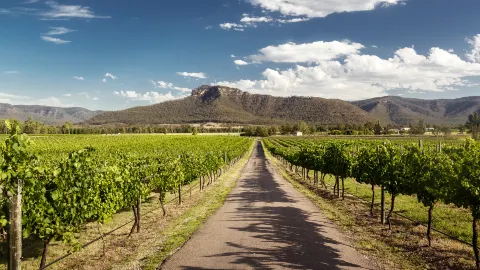 Hunter Region travel destination
