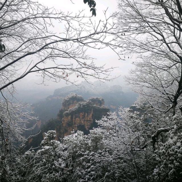 Winter Wonderland in Zhangjiajie