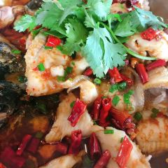 Firefly Tapas Kitchen & Bar User Photo