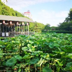 钰湘宴·剁椒鱼头王(岳麓望月公园店) User Photo