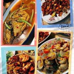 The Ship on the Shore張用戶圖片