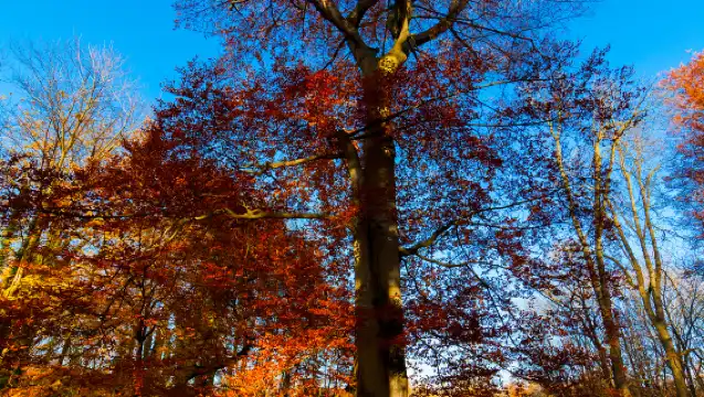 德清莫干山風景名勝區一日遊【【15人小團】慢節奏/慢生活】