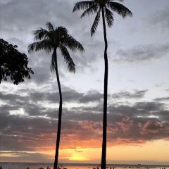 Mai Tai Bar User Photo