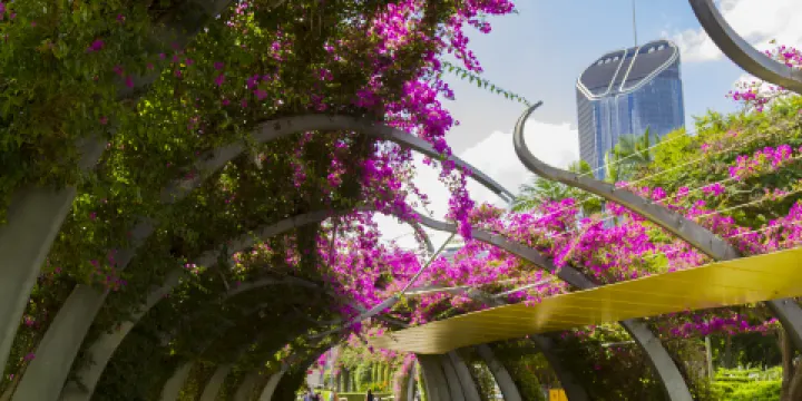 布里斯本植物園 - 庫薩山