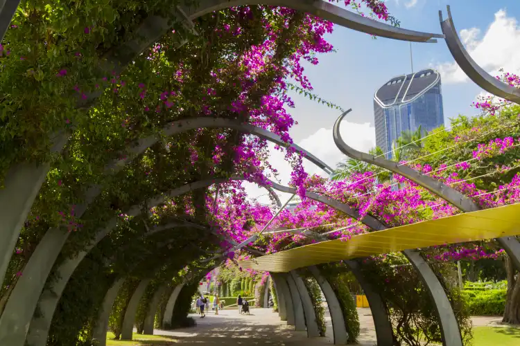 Hotels in Mount Coot-Tha