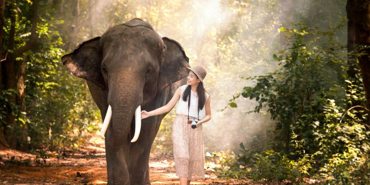 Elephant Nature Park