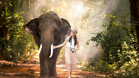 Mae TaengTours