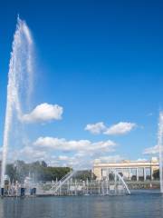 The Geneva Water Fountain