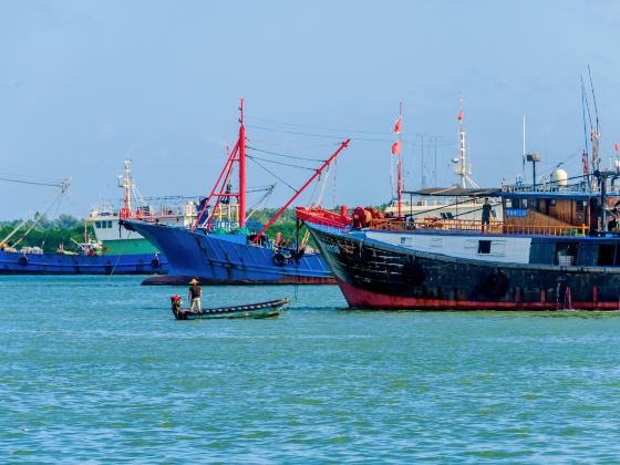 Qinglan Port Scenic Area